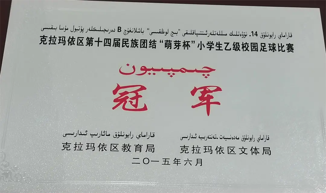 中国足球冠军图文并茂_中国足球冠名_足球冠军有哪些人中国