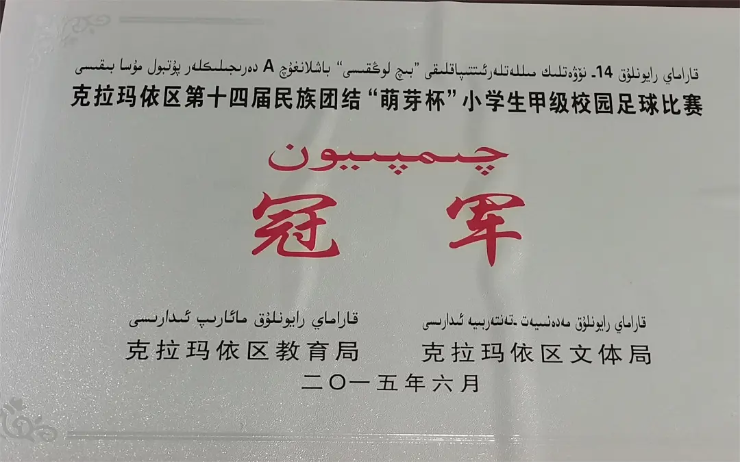 中国足球冠军图文并茂_足球冠军有哪些人中国_中国足球冠名