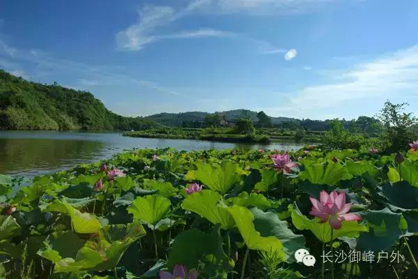 酷动健身(天鹅湾店)怎么样_秀湾健身_大连帝泊湾健身
