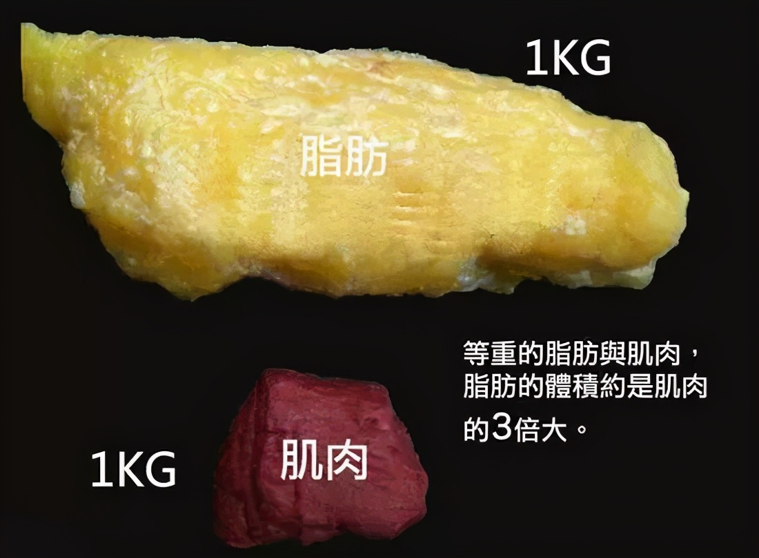 健身停了_健身停了会胖吗_健身停一个月