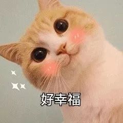 篮球重拍犯规_篮球规则重拍是什么_篮球什么叫重拍