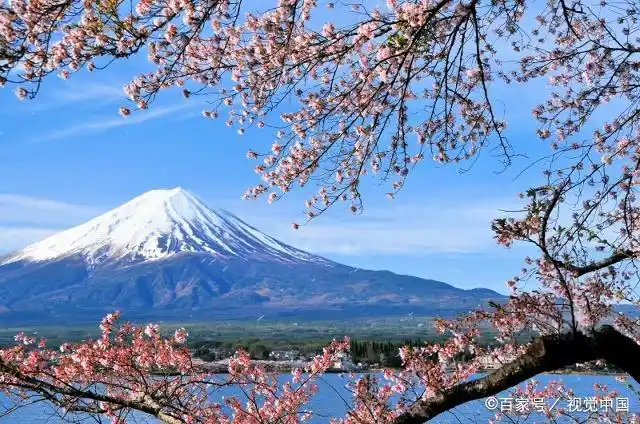 评析羊吃人运动_圈地运动羊吃人_羊吃人的圈地运动